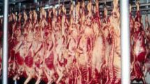 11 Armenian companies to export meat products to Russia