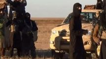 US in total disarray in ISIL fight – activist