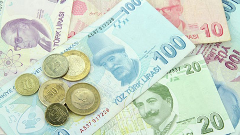 Курс турецкой лиры к доллару упал до исторического минимума