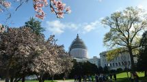 В США откроется высокотехнологичный музей Библии