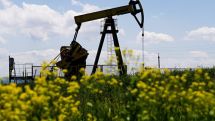 Мировые цены на нефть в среду перешли к росту на фоне ожиданий итогов встречи ОПЕК
