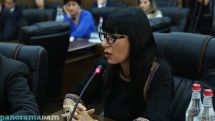 Գագիկ Ծառուկյանի վերադարձը Սերժ Սարգսյանի հետ համաձայնեցված չէ. ԲՀԿ նախագահ