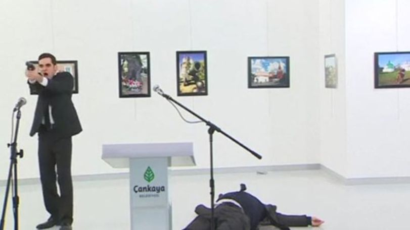 UN Security Council condemns assassination of Russian ambassador in Turkey