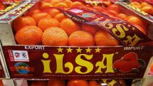 Russia bans import of Turkish mandarin