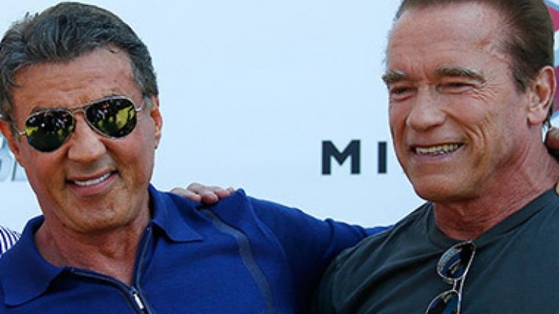 Action stars Arnold, Sly chip in for the IDF