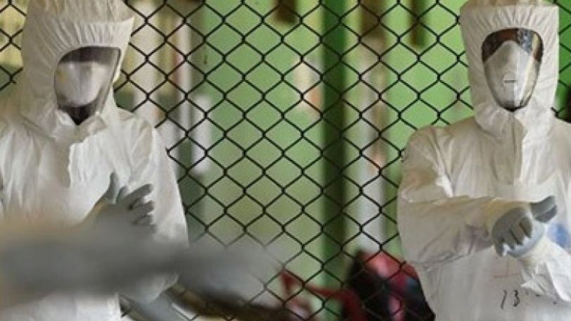 Число жертв лихорадки Эбола превысило 5 тыс. человек. Данные ВОЗ