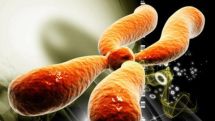How monster chromosomes, key to certain cancers, are born