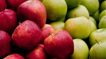 Apple prices increase by 11.8 % in Armenia
