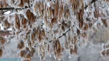 Air temperature to decrease to -20°C in Armenia’s Ararat Valley