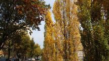 Առաջիկա օրերին օդի ջերմաստիճանը էապես չի փոխվի