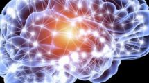Parkinson's stem cell 'breakthrough'