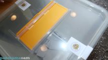 Polls closed, vote count underway in Armenia’s Parliamentary elections