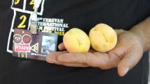 Golden Apricot to present Armenian films at Ankara Film Festival