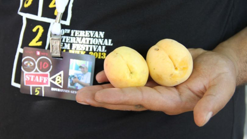 Golden Apricot to present Armenian films at Ankara Film Festival