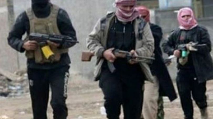 ISIL executing Iraqis sign of strategic weakness – analyst