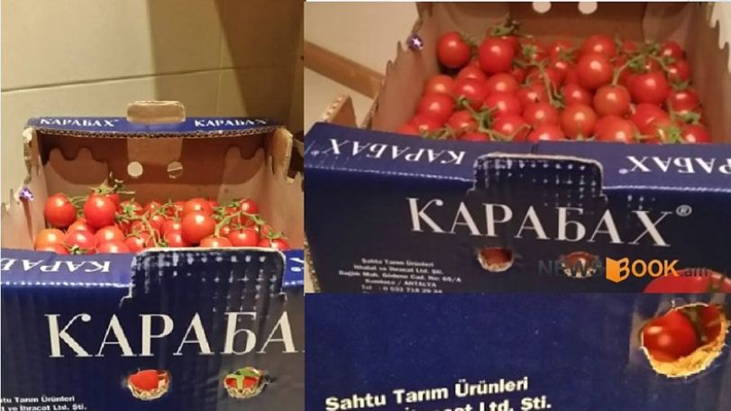 Armenia’s SRC prevents 272 attempts of illegal agricultural imports