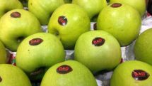 Armenia’s Special Investigative Service releases details on Azerbaijani apples smuggling