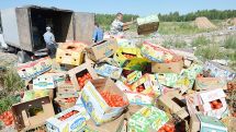 «Известия»: Россия предложила странам ЕАЭС уничтожать нелегальные продукты