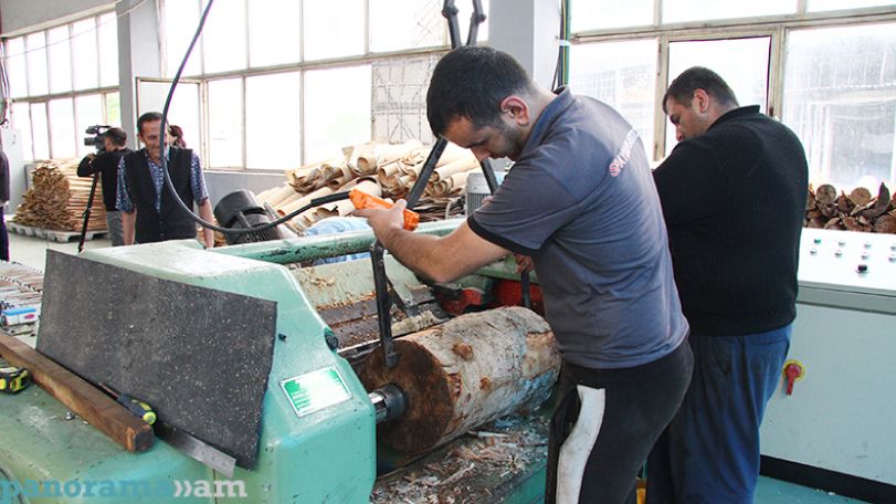 Armenia’s economic activity index increases by 6.4%
