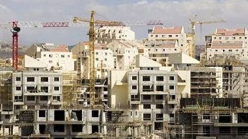 Israel officially coming out as apartheid regime – analyst