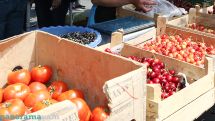 2267 tons of fruit and veg purchased by Armenian companies this year