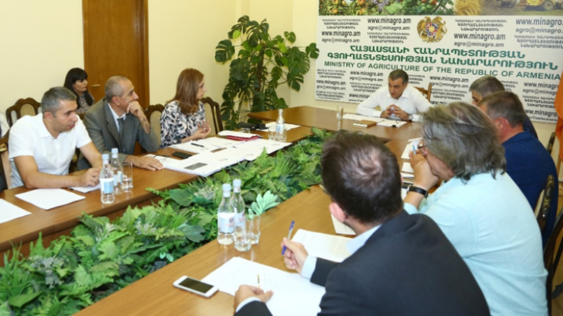 Հայաստանի գինեգործության մասին տեսահոլովակ կնկարահանվի