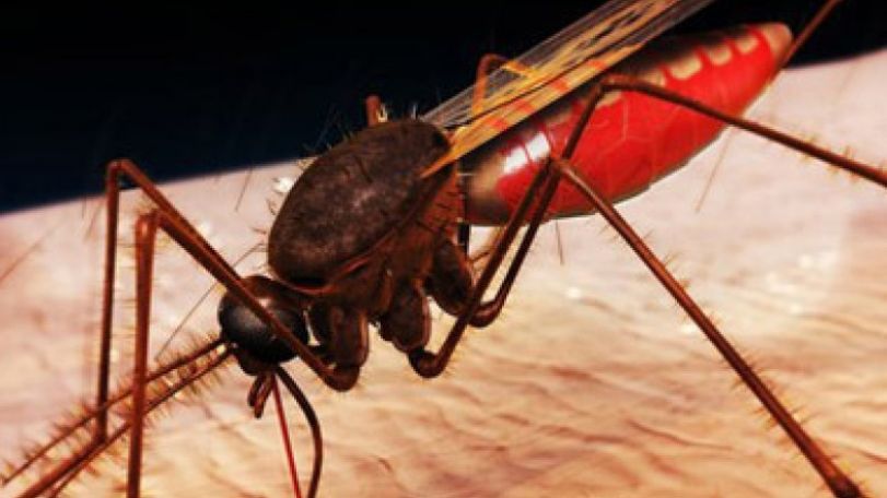 Fears that Ebola crisis will set back malaria fight