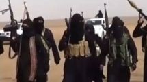 ISIL terrorists use US-made weapons – analyst