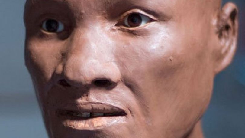 DNA yields secrets of human pioneer