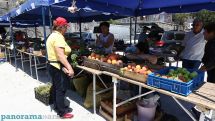 В Ереване откроется третья ярмарка сельскохозяйственной продукции