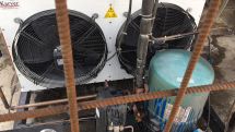 Несмотря на инцидент с серной кислотой компания Ваграма Миракяна продолжает импортировать бананы в Армению