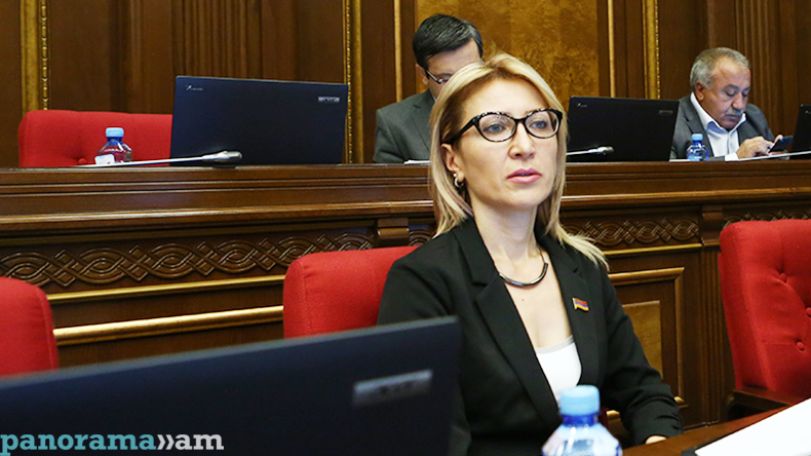 Անհերքելի է, որ ԵՄ շուկայում գործող կանոններն ու գործարար մշակույթն ավելի լիբերալ են. Մանե Թանդիլյան