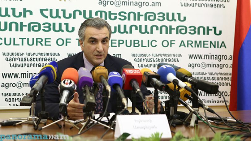 Глава Минсельхоза Армении: Без паники, цены на мясо выросли, но это нельзя считать подорожанием