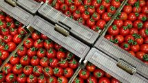 Food Safety Service says exhaustive justifications presented to Rosselkhoznadzor