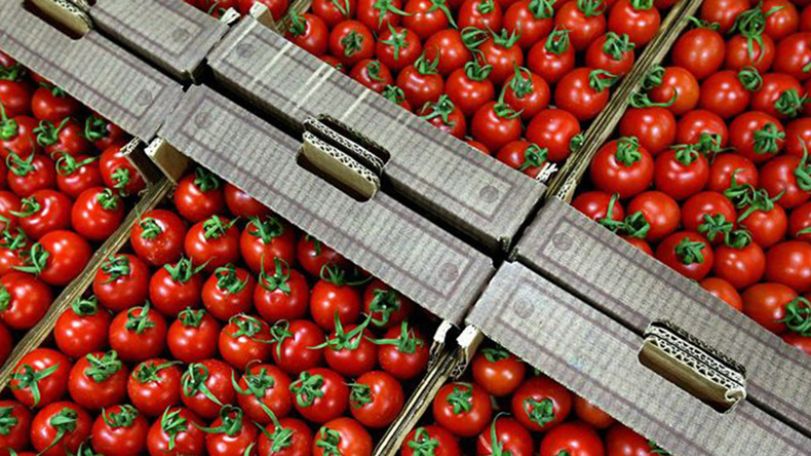 Food Safety Service says exhaustive justifications presented to Rosselkhoznadzor