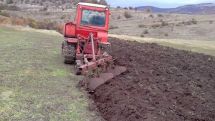 Fruit tree seedlings to be planted in Baghanis border village