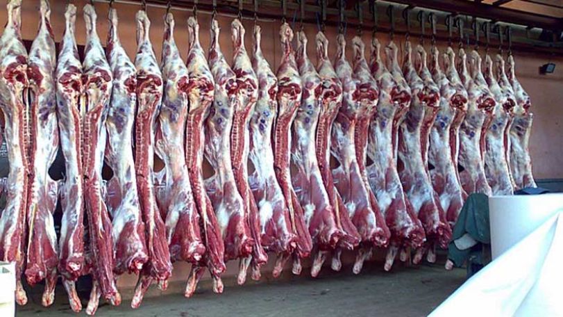 ՍԱՊԾ. Կա լրացուցիչ 40-70 սպանդանոցի պահանջարկ