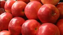 October 21 is Apple Day