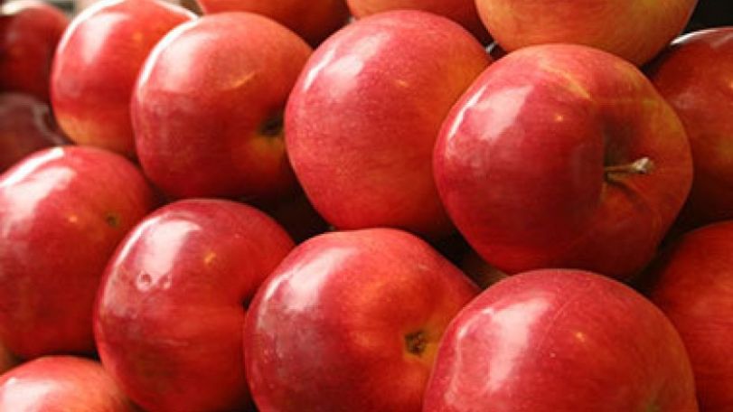 October 21 is Apple Day