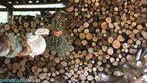 «Հիմա մարդիկ սովից էլ չեն սարսափում, միայն ցրտից»