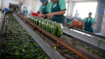 Армянская компания «Эм Би Кэпитал» приобрела 75% акций Арташатского консервного завода «АртФуд»