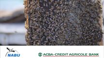 “Organic Agricultural Development” 2017-2018 program winners revealed