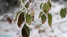 Weather update: Precipitation, wind intensification predicted over the coming days