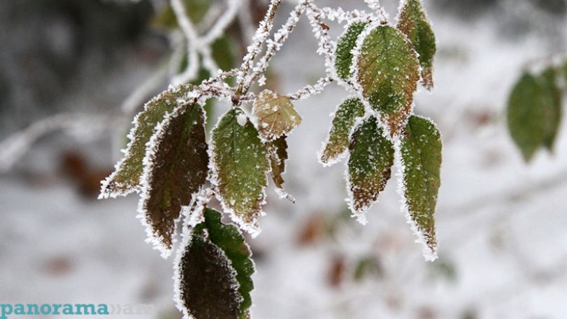 Weather update: Precipitation, wind intensification predicted over the coming days