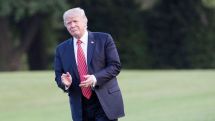«Честь Трампа под угрозой»: адвокат назвал «абсолютной ложью» связь президента США с порноактрисой