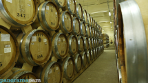 Production volumes of cognac increase in Armenia