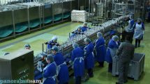 Significant growth in canned food production volumes recorded in Armenia