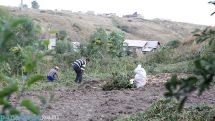 Արցախի քաղաքացի չհանդիսացող բոլոր հայրենակիցներին, Արցախում հողի սեփականության իրավունք կտրվի. գյուղնախարար