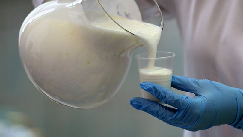 После угроз Лукашенко в Россельхознадзоре передумали вводить запрет на поставки молока из Беларуси