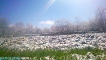 Heavy snow hits Armenia’s Lori region